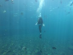 -瑞德姆美人鱼海底演艺主题餐厅(亚龙湾店)