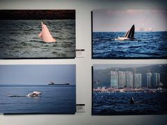 -中国湿地博物馆