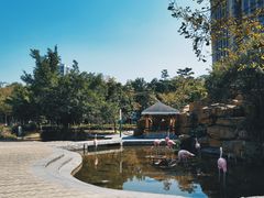 -深圳国际园林花卉博览园