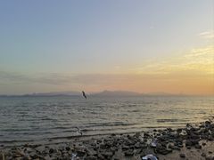 -红树湾(地铁站)