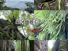 -山王坪喀斯特国家生态公园