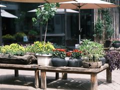 -瓦库茶馆17号(海汇港店)