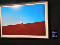 -罗红摄影艺术馆