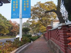 -八大关景区
