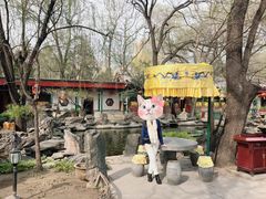 -白家大院·王府宫廷菜(苏州街店)