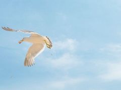 -海驴岛(荣成市)