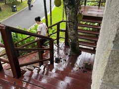 -七仙岭君澜度假酒店