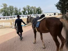 -大连凯洋马术俱乐部有限公司