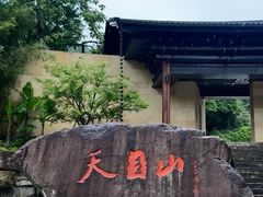 -天目山大树王景区
