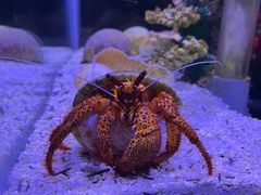 -太平洋海底世界