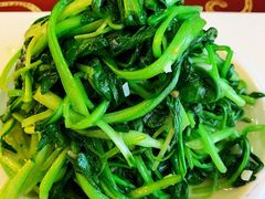 鸡毛菜-大江南食府(石景山店)