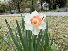 -白塔湖国家湿地公园