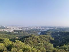 -大屏嶂森林公园