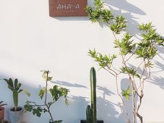 -AHAVA·Fang Baking Studio