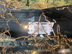 -恰八斗·猛火长沙菜(国贸店)