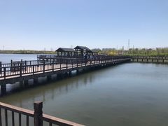 -天津东丽湖风景区