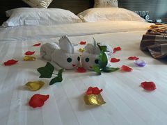 -北京园博大酒店