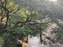 -佛慧山