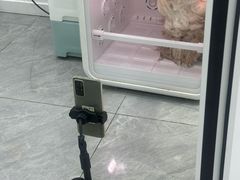 -爱洗澡的猫(天河路店)