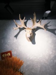 -極致刺青TATTOO STUDIO 私人订制