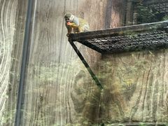 -黔灵山公园