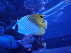 -成都浩海立方海洋公园