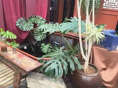 -兰庭玉树·老饭骨家宴(后海店)