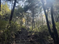 -鲁山国家森林公园