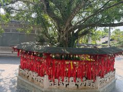 -海南文笔峰盘古文化旅游区