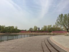 -永定河休闲森林公园