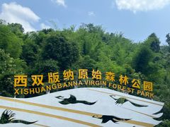 -西双版纳原始森林公园