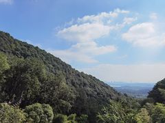 -韬光茶庵