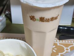 -猫的魔法密林(衣裳街店)