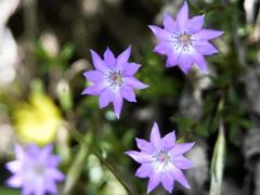 -水磨沟环境自然保护区