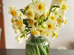 -溪岸路花鸟市场