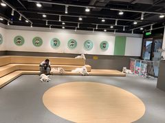 -瑞虹新天地月亮湾