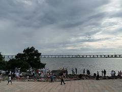 -宝安西湾红树林湿地公园