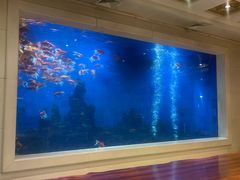 -鹏天阁酒楼·海鲜(红旗店)