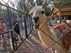 -长白岛森林公园