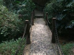 -滴水岩森林公园