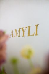 点击看大图 -艾米丽婚纱礼服