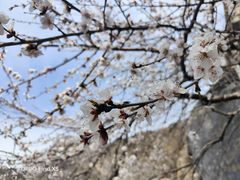 -圣莲山风景区