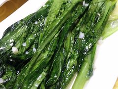 油麦菜-明记海鲜美食老字号(明记总店)