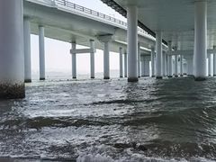 -深圳湾公园(南山区)
