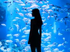 -成都浩海立方海洋公园