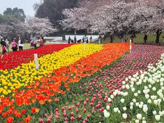 -苏州上方山国家森林公园