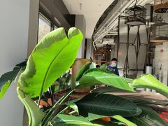 -The Rug Cafe(王府中环店)
