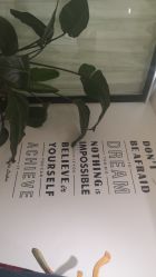 -杨丹国际美学肌研所