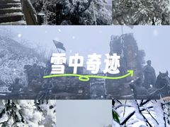 -娄山关景区