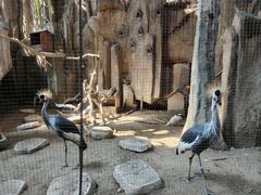 -长鹿旅游休博园